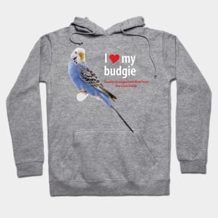 blue budgie Hoodie